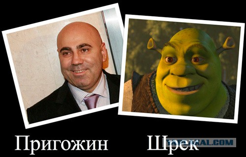 Двойники знаменитостей