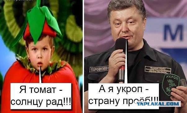 Голос со стороны Параши.