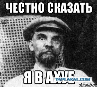Беспредел котовский! 18+