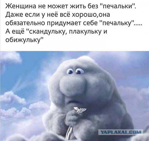 Немного картинок и юмора