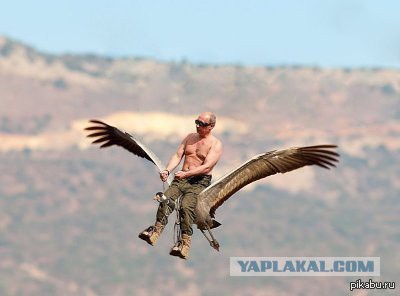 Самые лучшие фото с беспилотников
