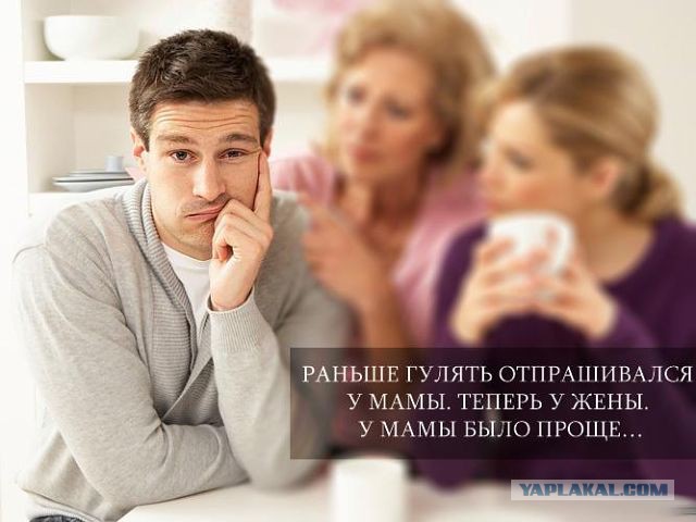 Смешные картинки