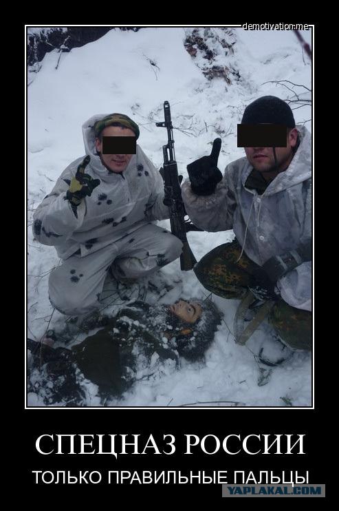 Круговорот оружия в природе