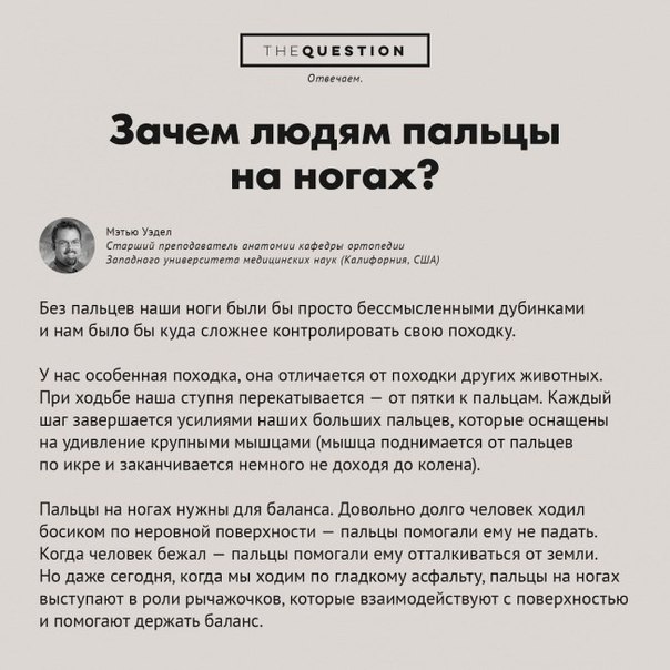 Неожиданные и странные вопросы