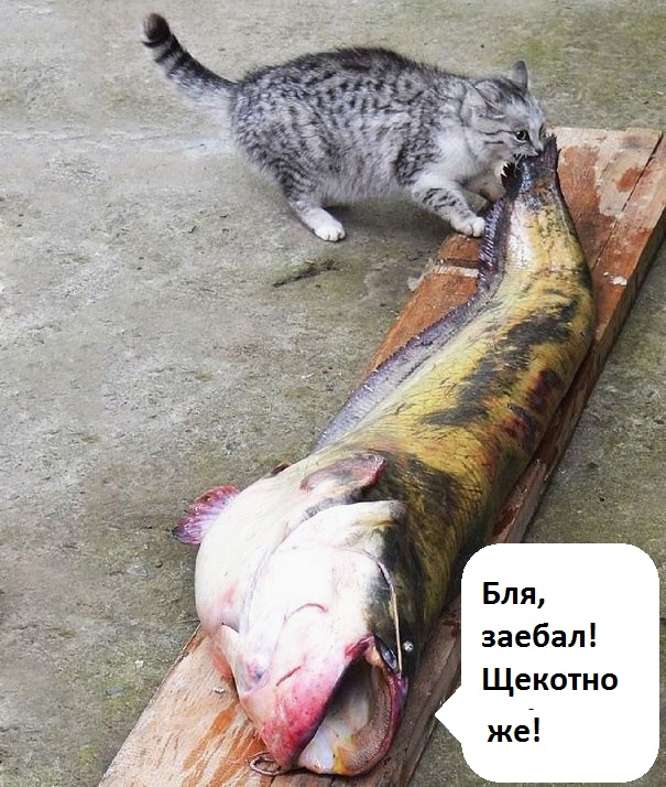 Неинтересные факты ч.4