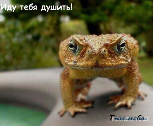 Обращение к мотоциклистам
