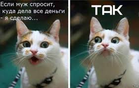 Взаимоотношения полов...