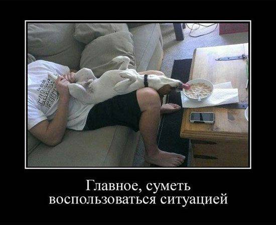 Плюшкиным посвящается