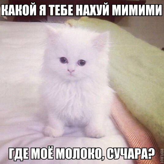 Картинки набрались разные