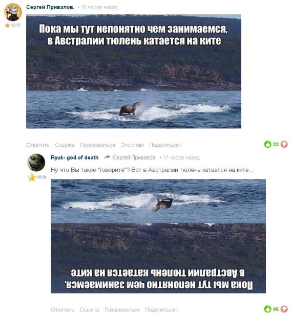 Картинки из ваших этих итернетов...