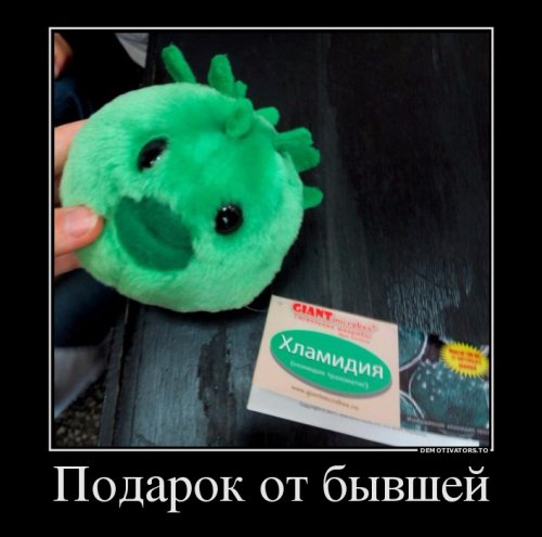 Веселые картинки