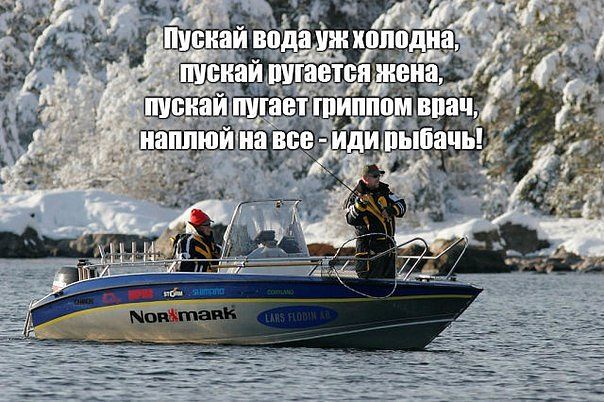 Подборка интересных и прикольных картинок