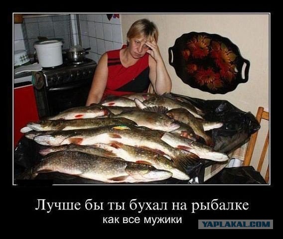 Будни магазина рыболовных снастей