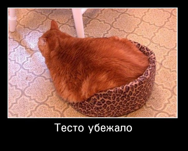 Мохнатые беспредельщики