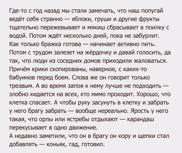 Перлы, высказывания и т.д.