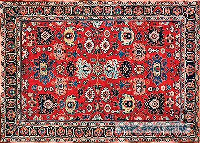 Американским школьникам разрешили раскрасить свое парковочное место