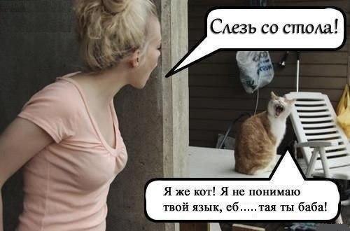 Юмор не для всех