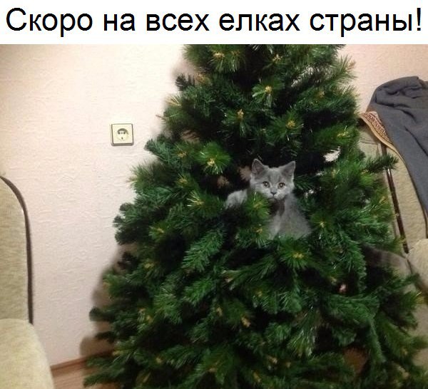 Всячина. Картинки и тексты картинками.