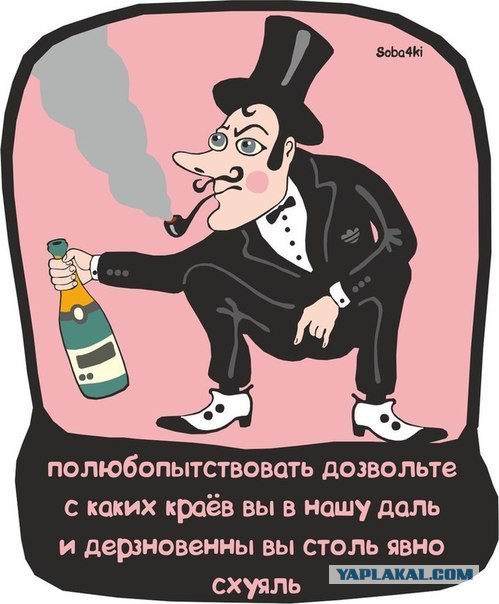 Нет "автоледям".