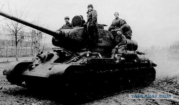 13 суток держали круговую оборону, в затонувшем в болоте танке двое бойцов