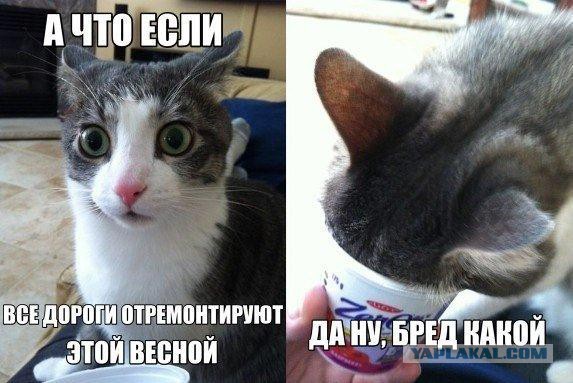 Наказал дорожников, — инструкция к применению, на личном опыте