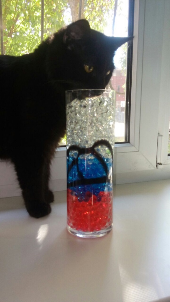 Коты и Кошки