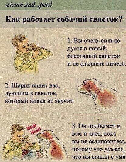 Черный юмор и цинизм в картинках