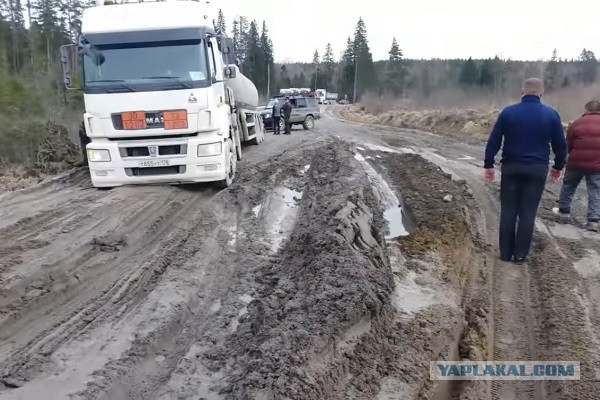 Хирург призвал россиян отказаться от автомобилей