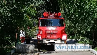 Еще один ребенок под машиной
