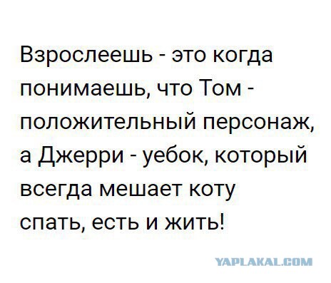 Как я понял, что удачно женился...