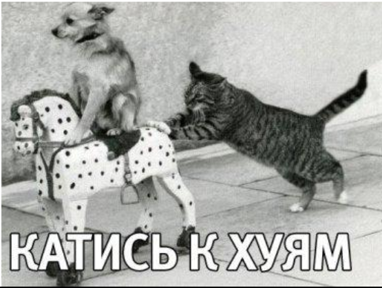 Больше не выдержим, спасайте шпротную державу!