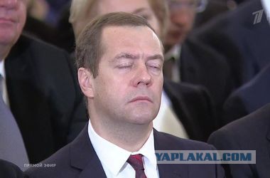 23 интересных факта о животных, которые вас удивят