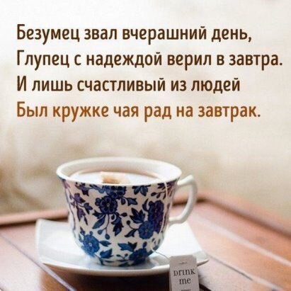 Полчаса мизантропии и интроверсии