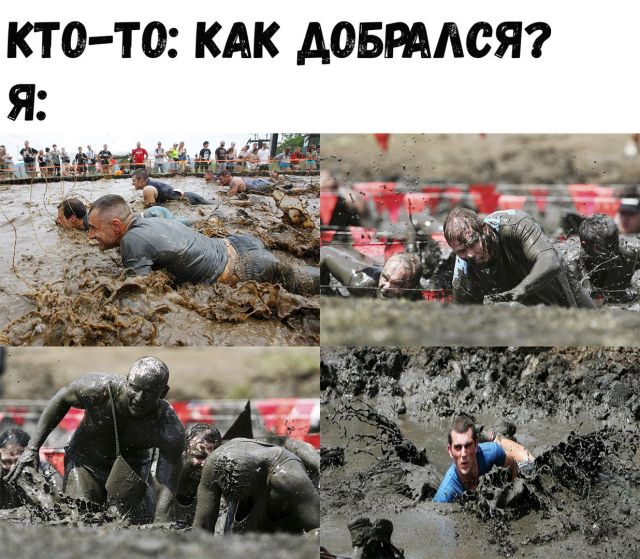 Подборка интересных и веселых картинок