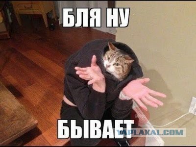 Веселый нас ждет ЧМ 2018