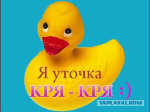 История одного айфона