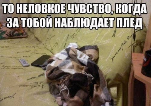 Тятя! Тятя! Наши сети принесли неадекват!