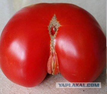 Пересмотр алиментов, нужен совет.