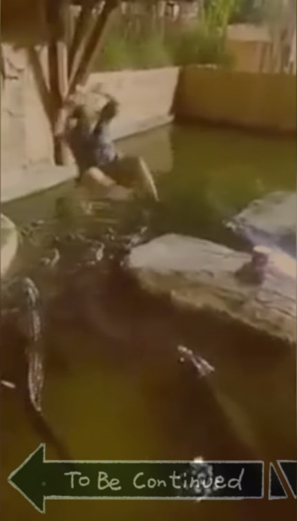 Манна небесная