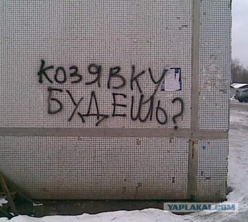 Кокорин назвал россиян "стадом баранов"