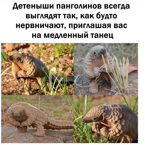 Немного картинок на вечер