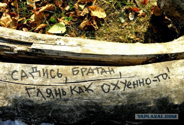 Асфальт, стены, заборы... Так пить или жить?
