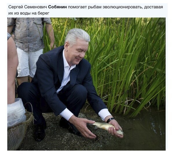 Картинки отовсюду. Часть 3 от 22 октября