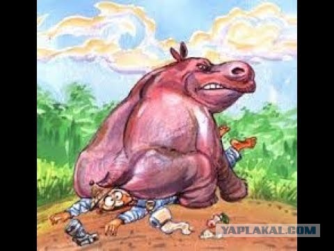 Не заметил помеху