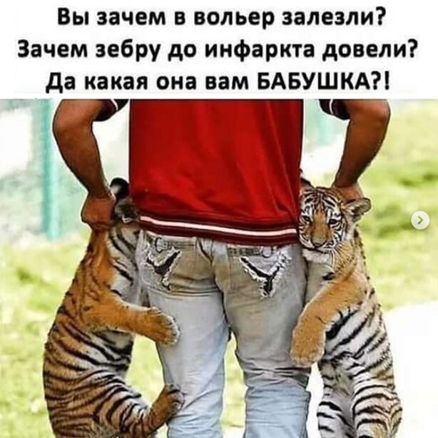 Пара-пара-пам! Фьють. Картинки с надписями