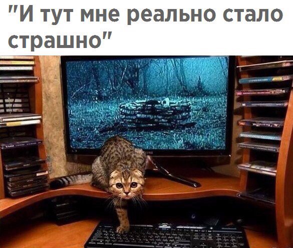 Всем хорошего настроения с картинками