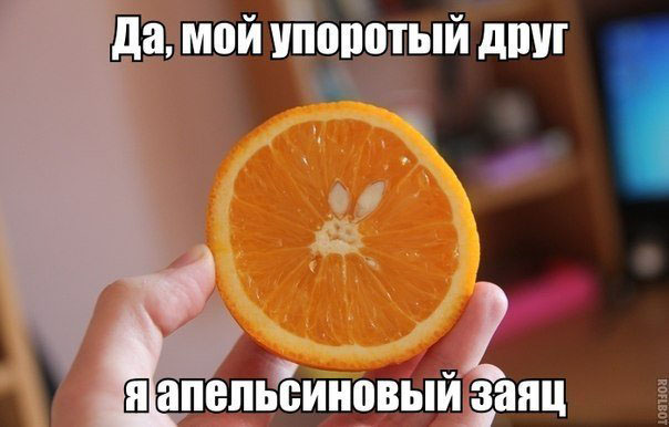 Прикольные и просто красивые картинки 09.04.2020