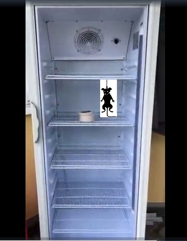 Маскировка холодильника