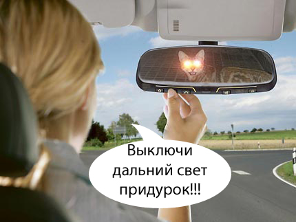 Фотожаба: Кот отакует!