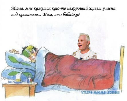 Кот, Антошка и порошок